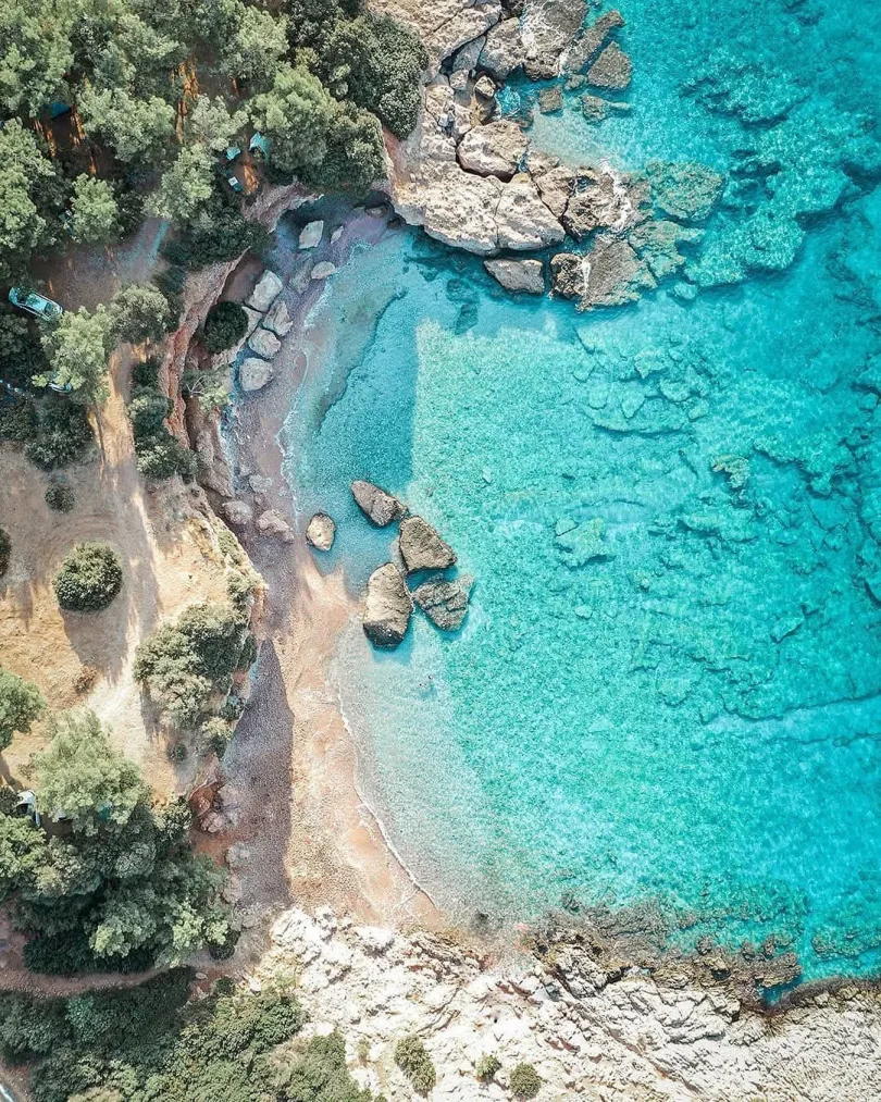 Akvaryum Koyu